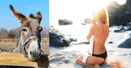 Inteligente se dá bem no sexo? E burro?